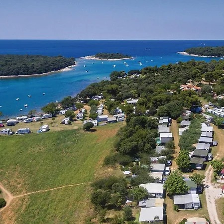 Dracice Vi Πούλα