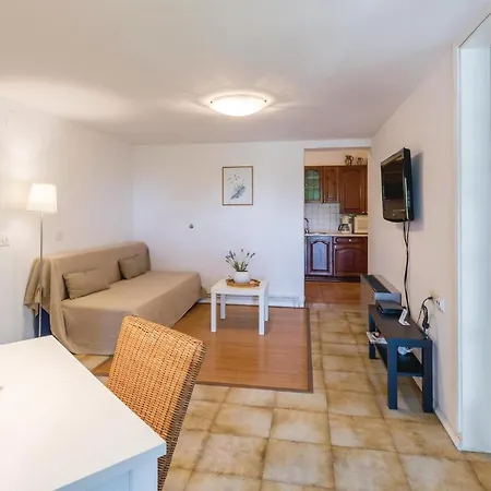Apartamento Dracice Vi