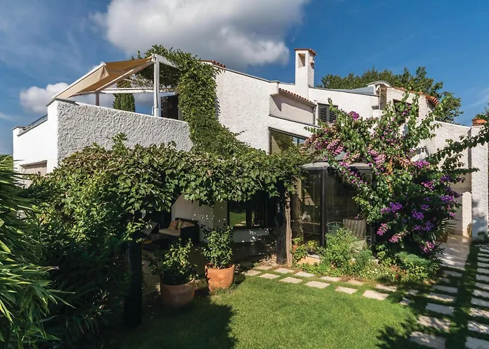 Dracice Vi Appartement