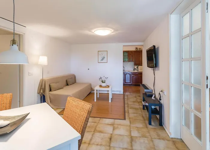 Appartement Dracice Vi