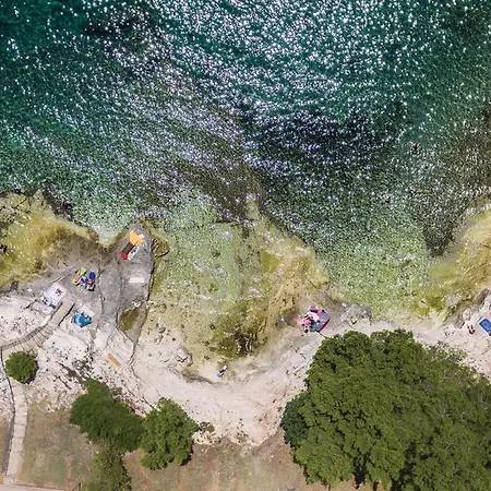 Dracice Vi 아파트 풀라