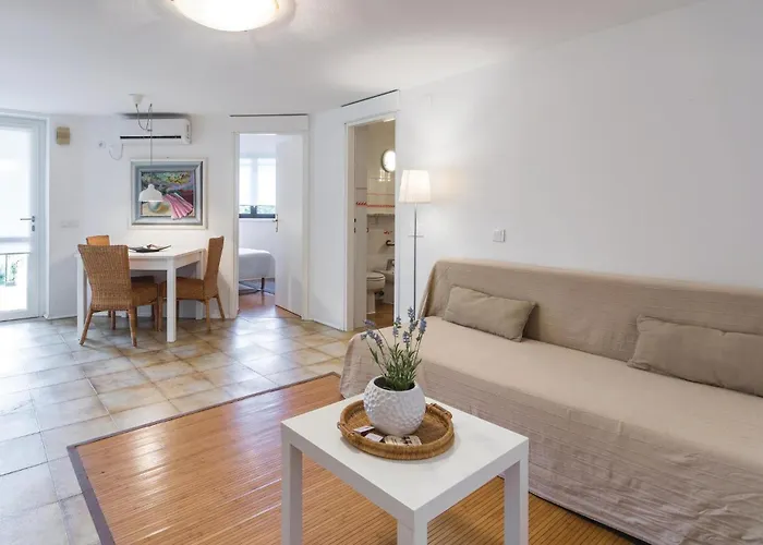 Apartment Apartment Dracice VI *
