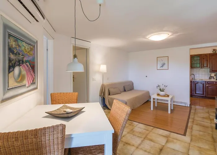 Dracice Vi Apartman *