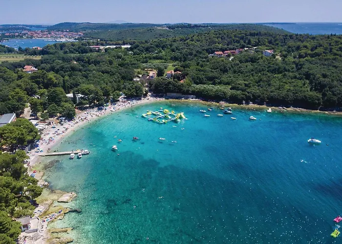 Dracice Vi Daire Pula